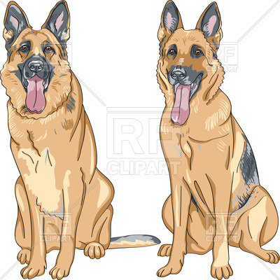 Portrait Of A Sitting Dog 400x400 Portrait Of A Sitting Dog