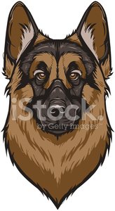 Vector German Shepherd Dog Stock Vectors 164x300 Vector German Shepherd Dog Stock Vectors