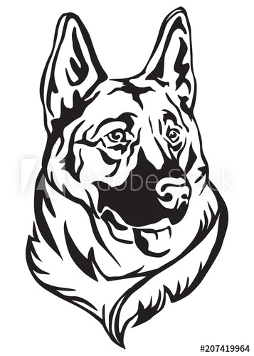 Decorative Portrait Of German Shepherd Vector Illustration 357x500 Decorative Portrait Of German Shepherd Vector Illustration
