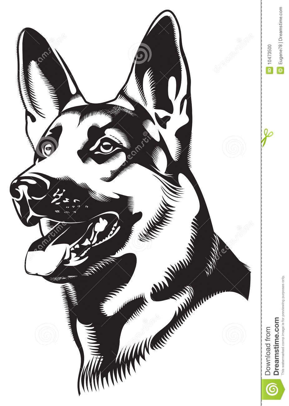 Dog Shepherd 926x1300 Dog Shepherd