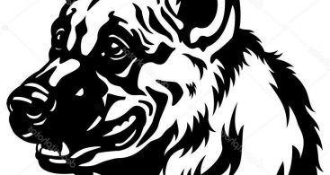 367x195 German Shepherd Vector Archives