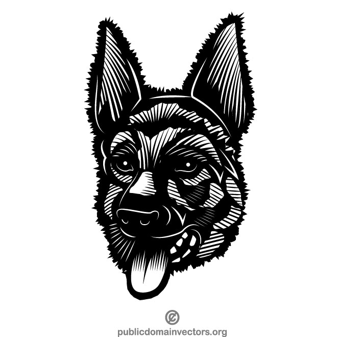 660x660 Dog German Shepherd