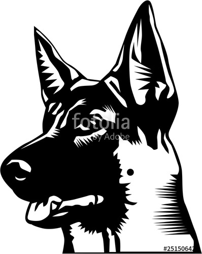 398x500 German Shepherd Vector Illustration Stock Image And Royalty Free