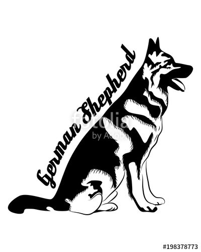 400x500 German Shepherd Line Art, Silhouette, Tribal Typography Freehand