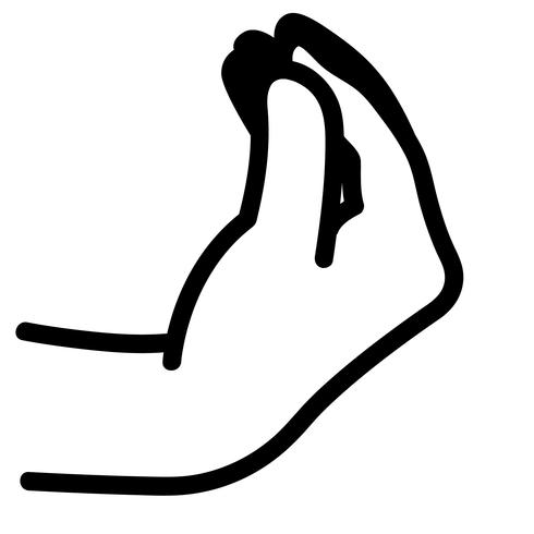 490x490 Italian Hand Gesture Vector