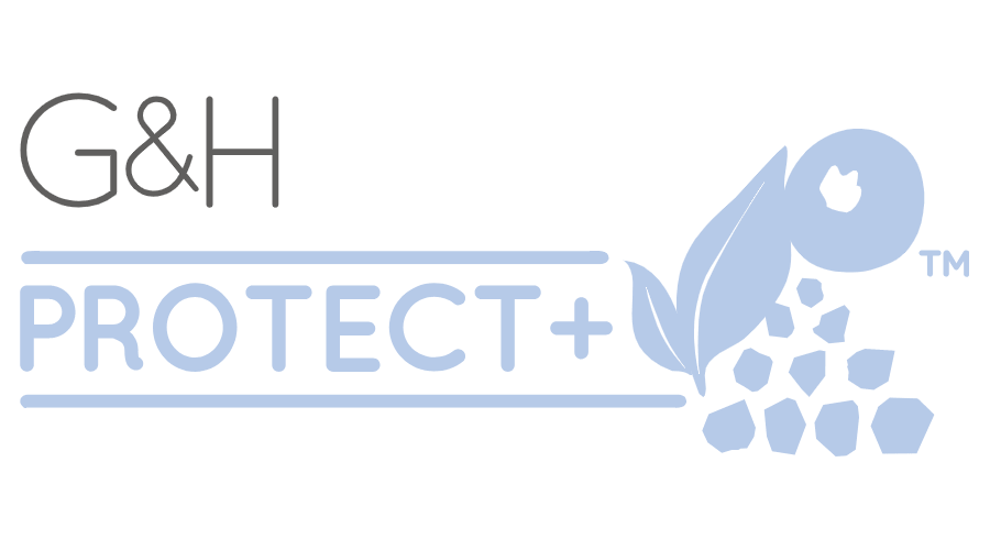 900x500 Gamph Protect Vector Logo