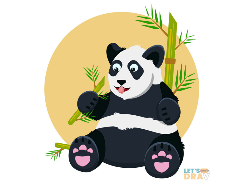800x600 Giant Panda