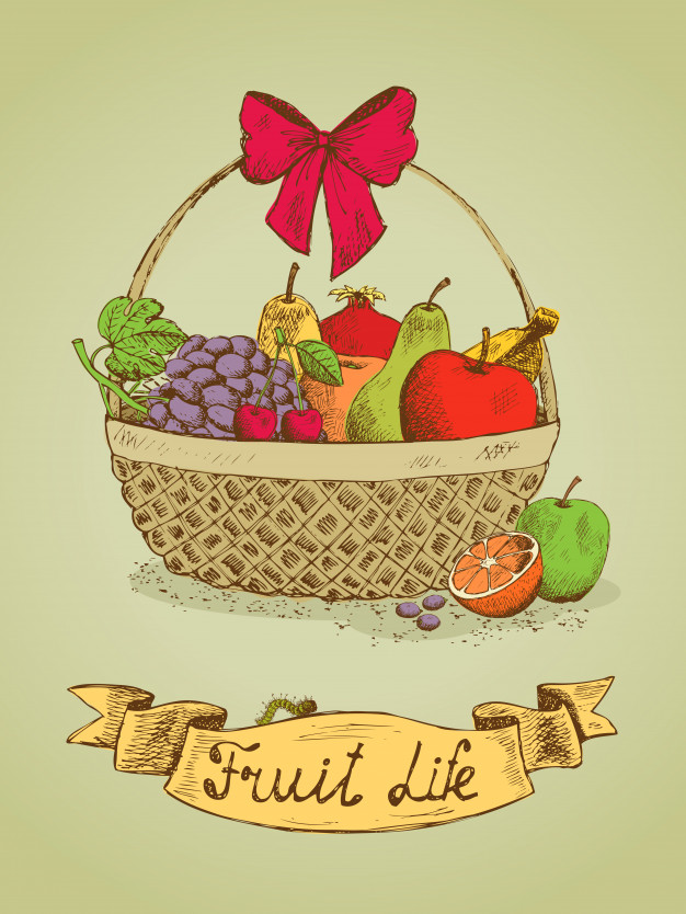 626x834 Fruit Life Gift Basket With Bow Emblem Vector Free Download