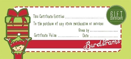 520x235 Elf Gift Certificate Voucher Template Photography Photoshop