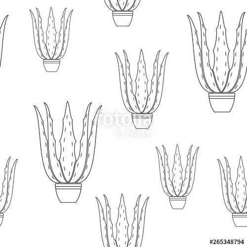 500x500 Flowerpot Aloe Vera On A White Background Graphic Image