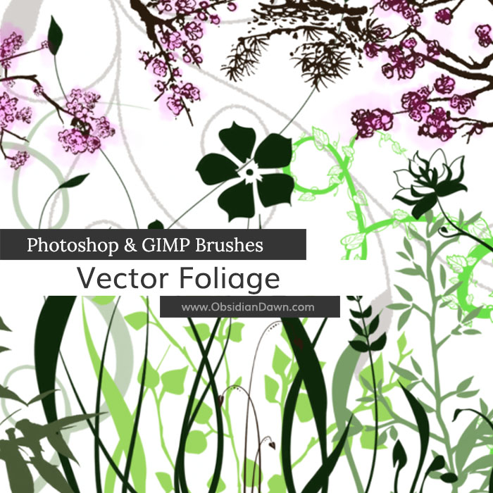 700x700 Vector Foliage Plants Photoshop And Gimp Brushes