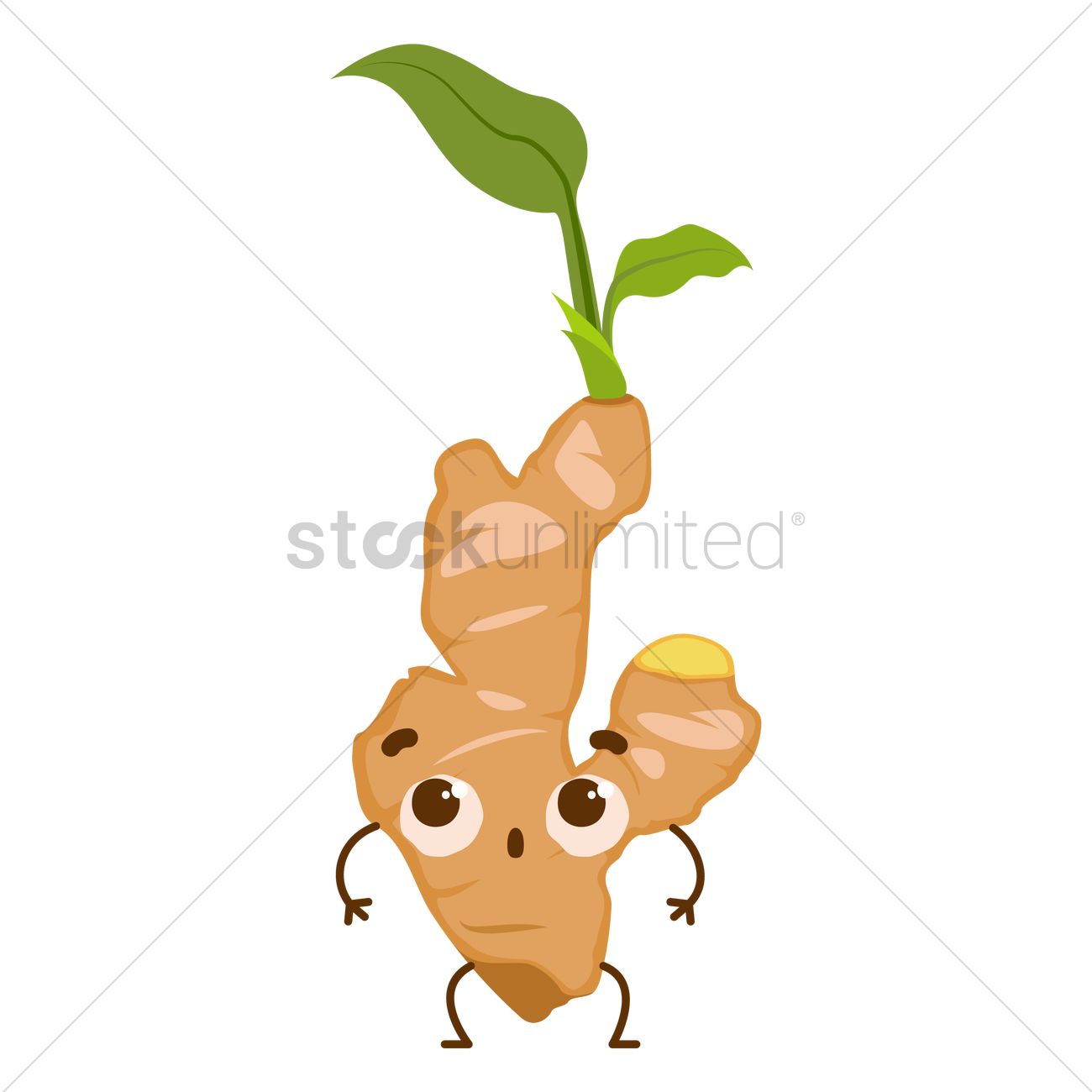 1300x1300 Ginger Vector Image