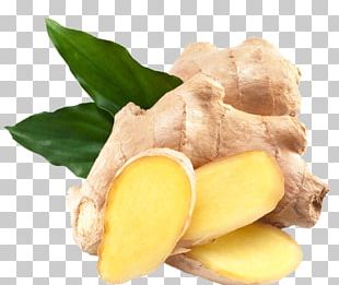310x261 Ginger Vector Png Images, Ginger Vector Clipart Free Download