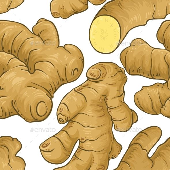 590x590 Ginger Vector Pattern