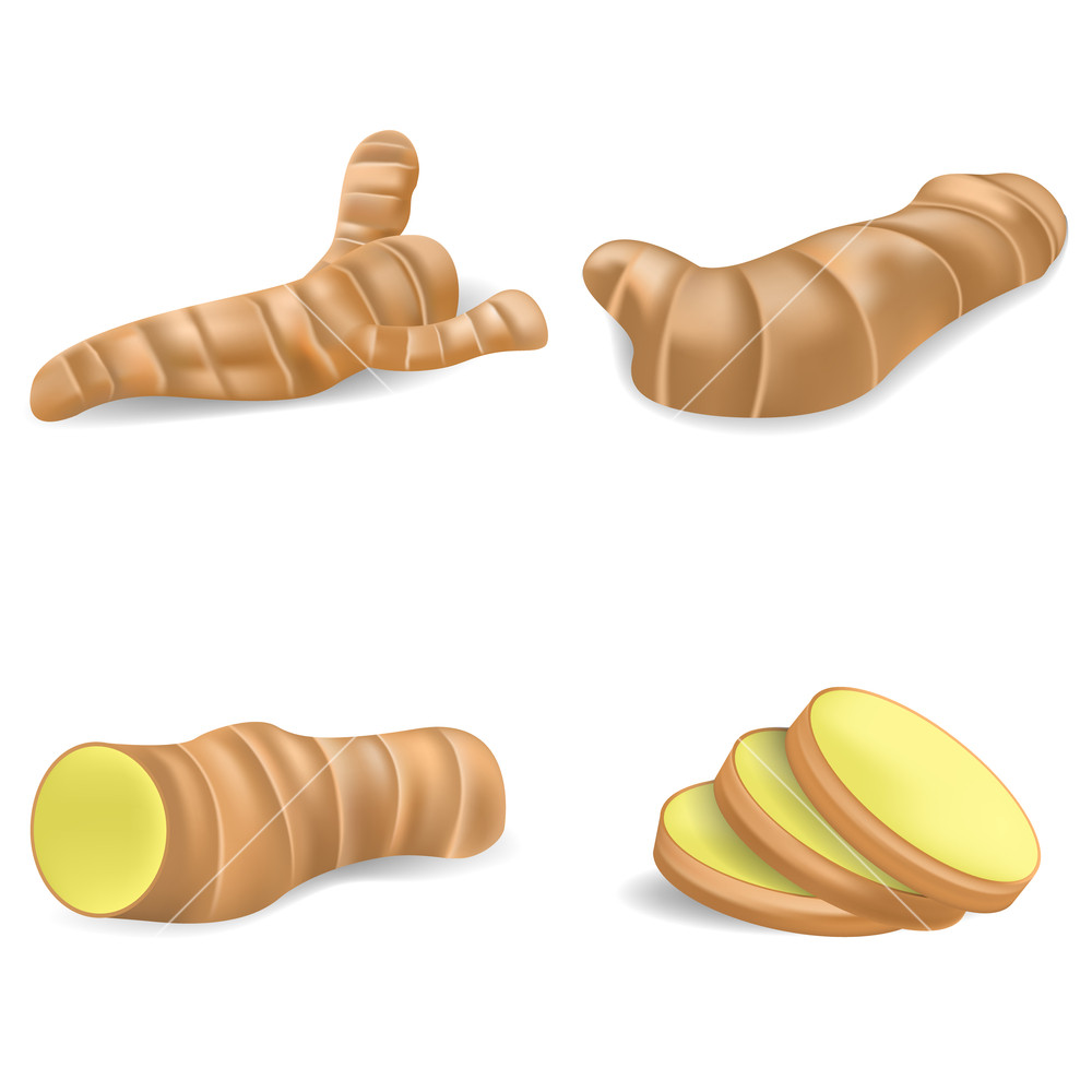 1000x1000 Ginger Root Icons Set Realistic Set Of Ginger Root Vector Icons