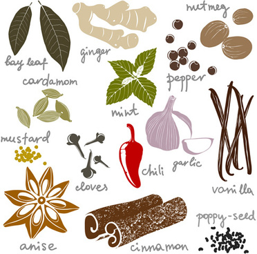 372x368 Ginger Spices Vector Free Vector Download