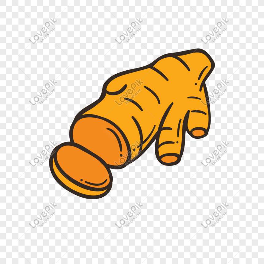 860x860 Ginger Vector Illustration Png Png Image Picture Free Download