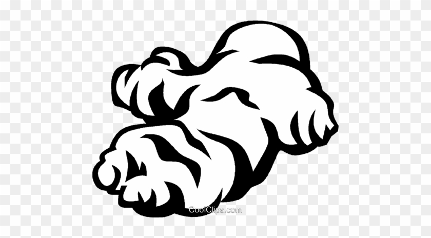 840x464 Ginger Clipart Transparent