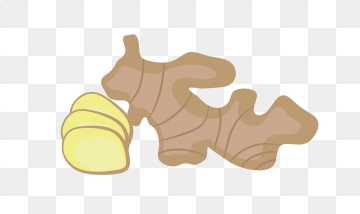 360x214 Ginger Png, Vector, And Clipart With Transparent Background