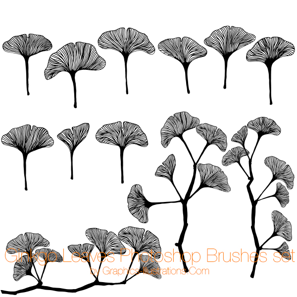 600x600 Ginkgo Leaves Photoshop Brushes Set, Commercial Use