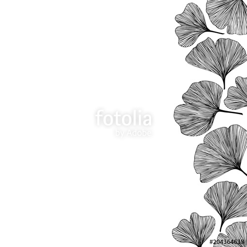 500x500 Ginkgo Biloba Leaves, Vector Illustration Right Side Border