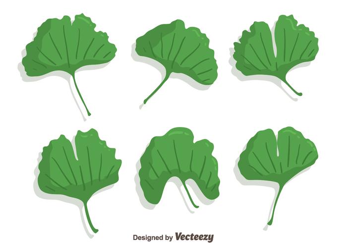 700x490 Green Ginkgo Leaf Vector