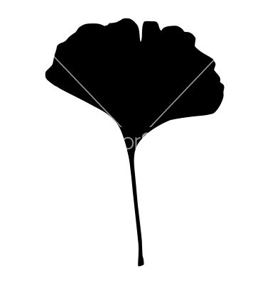 380x400 Logo Ginkgo Leaf Vector Art Projects Leaves Vector, Leaf