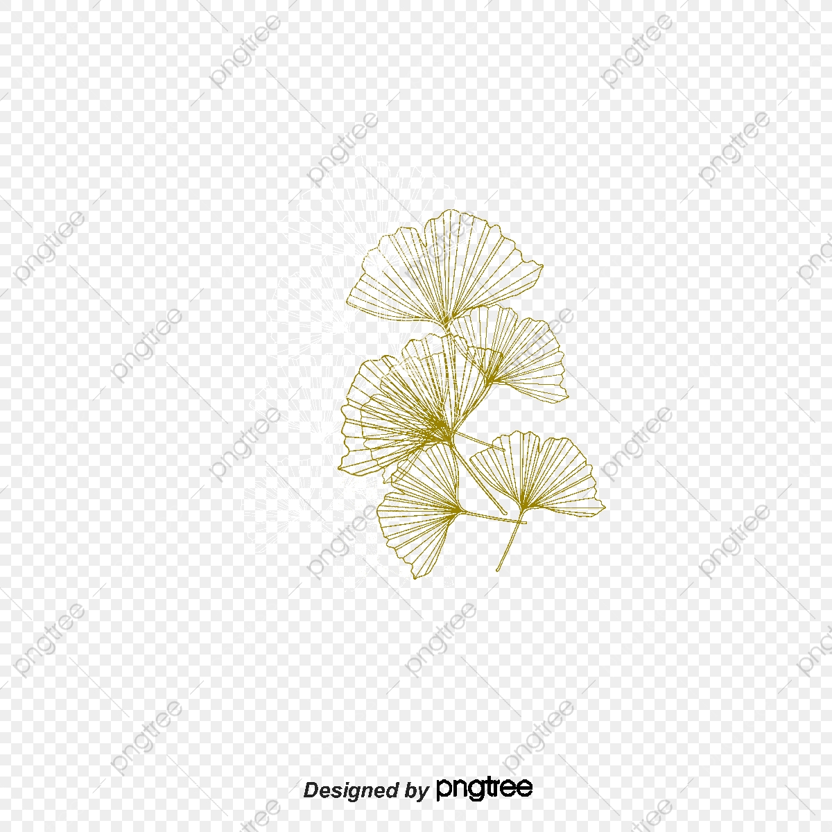 1200x1200 Vector Ginkgo Biloba, Ginkgo, Leaf, Vector Png And Vector