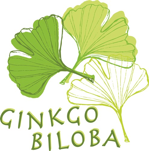 494x500 Ginkgo Leaf Pattern Ginkgo Biloba Vector And Art