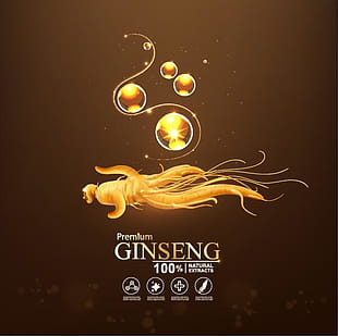 Ginseng Vector