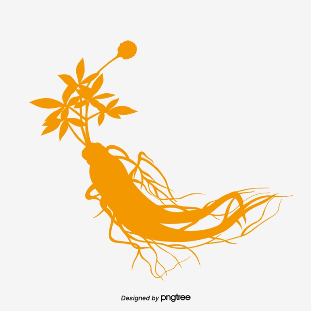 640x640 Ginseng Png Images Vector And Free Download