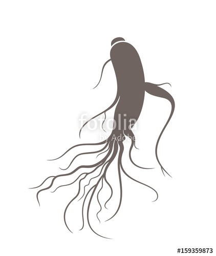 422x500 Ginseng Stock Image And Royalty Free Vector