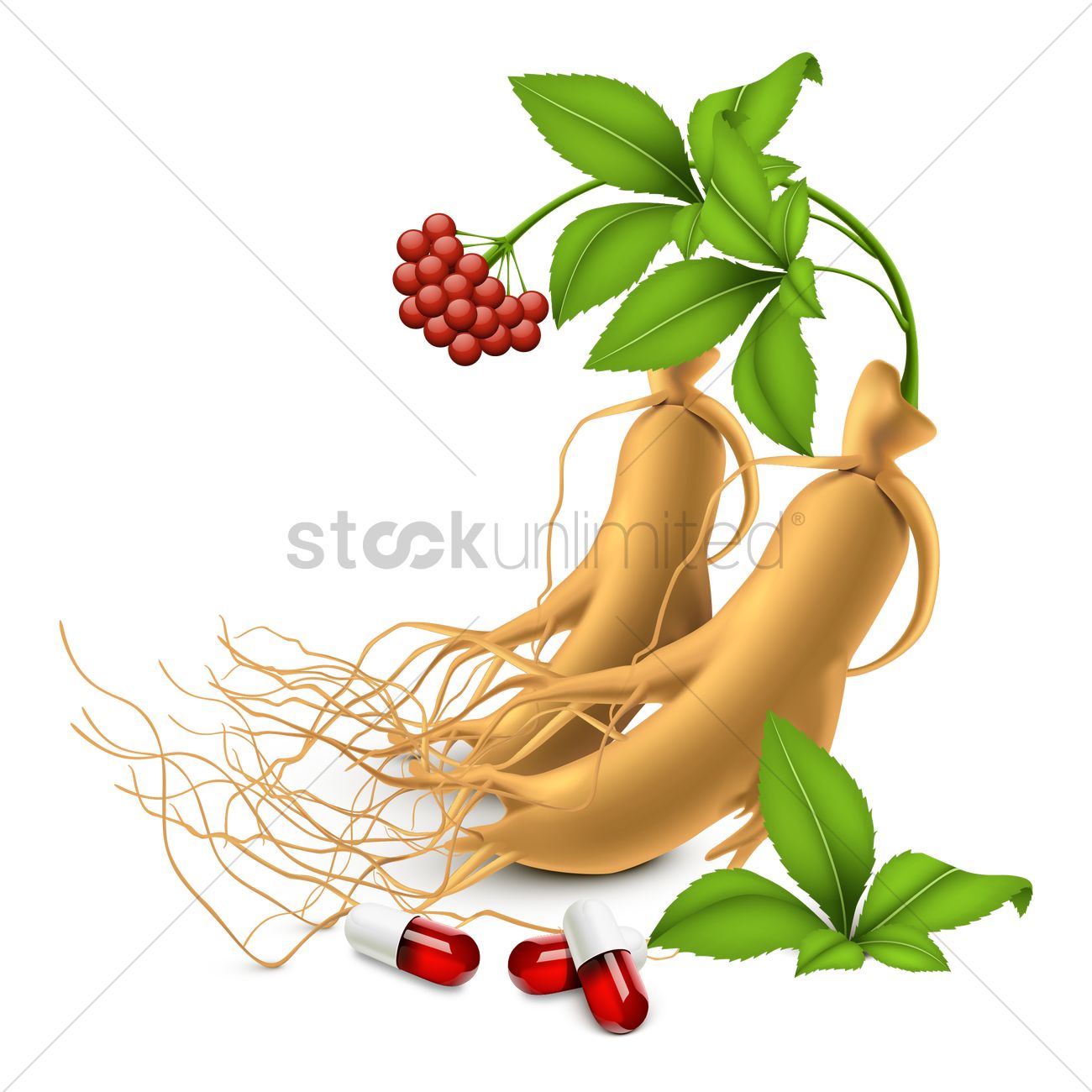 1300x1300 Ginseng And Supplement Capsules Vector Image