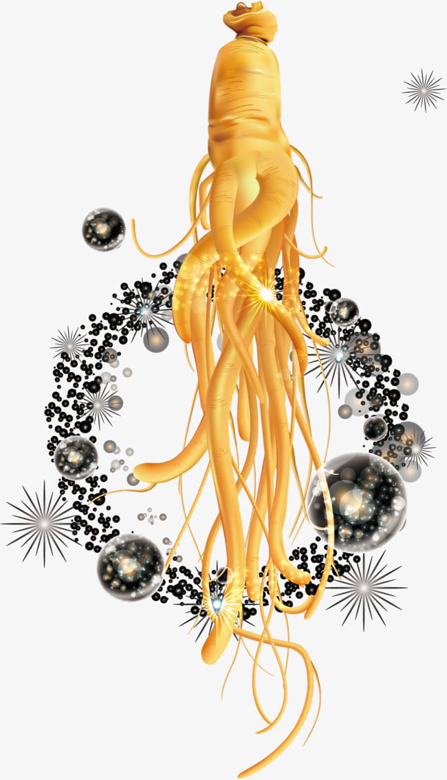 650x1132 Ginseng Free Graphics Uihere