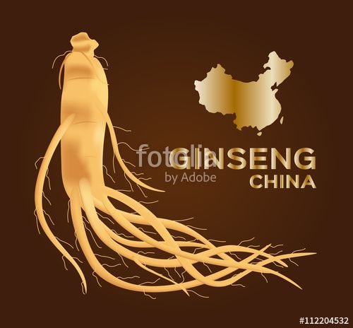 500x464 Download The Royalty Free Vector Ginseng Vector Ginseng
