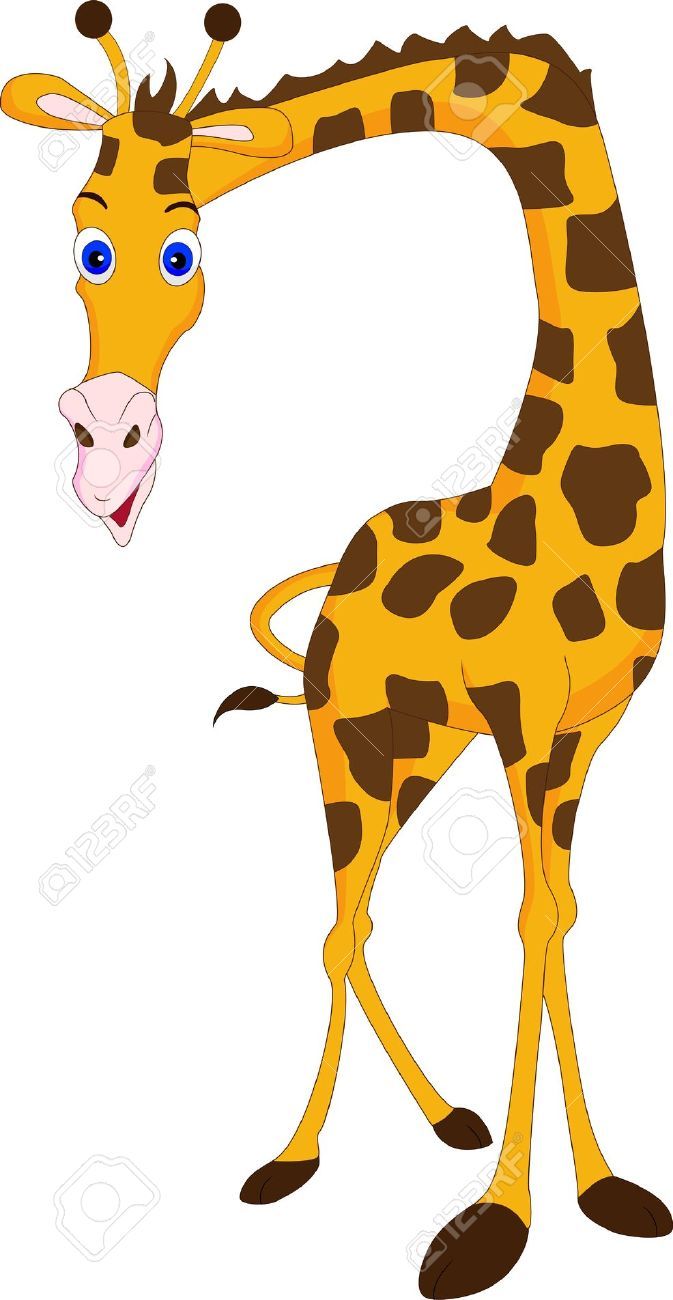 673x1300 Giraffe Stock Vector Illustration And Royalty Free Giraffe Clipart