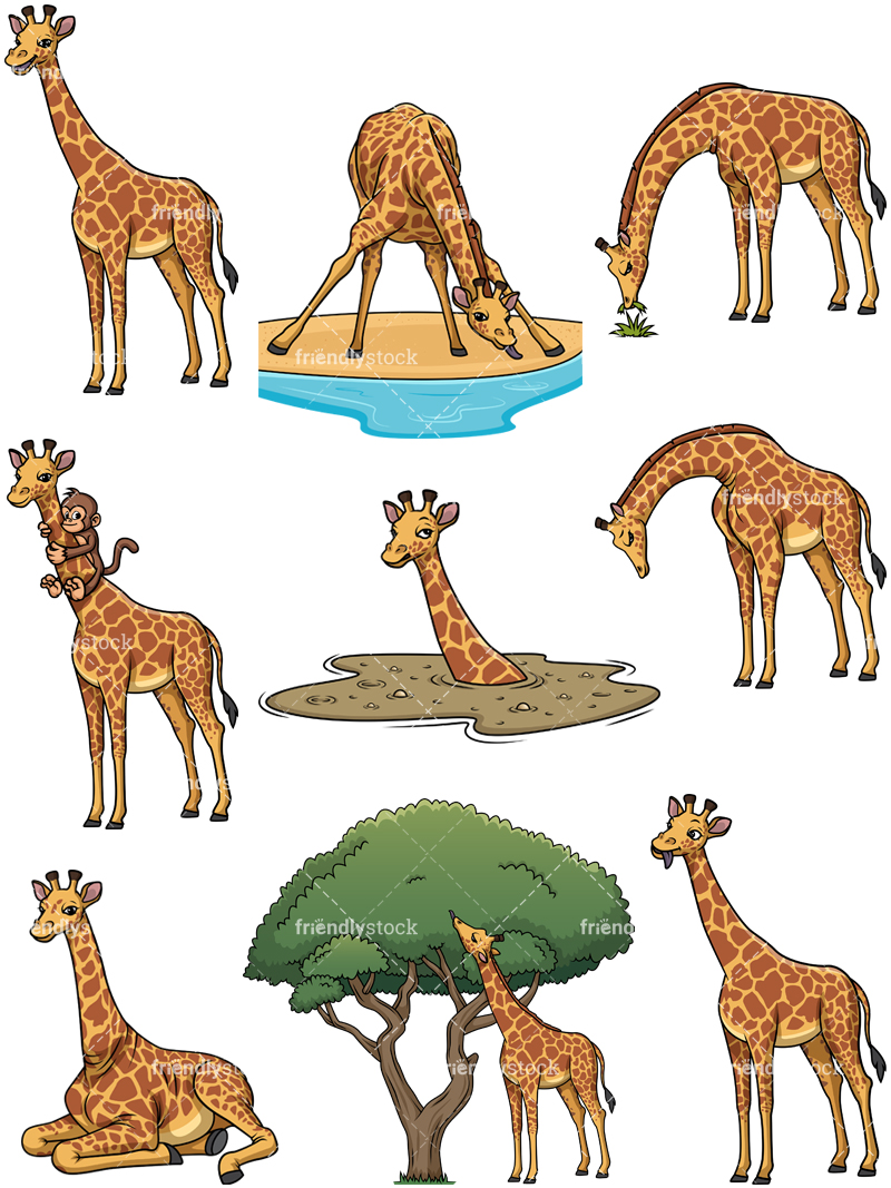 800x1067 Wild Giraffes Cartoon Vector Clipart