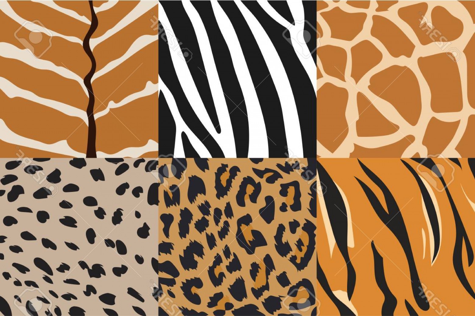 1560x1039 Giraffe Print Wallpaper Vector Illustration Hoodamath