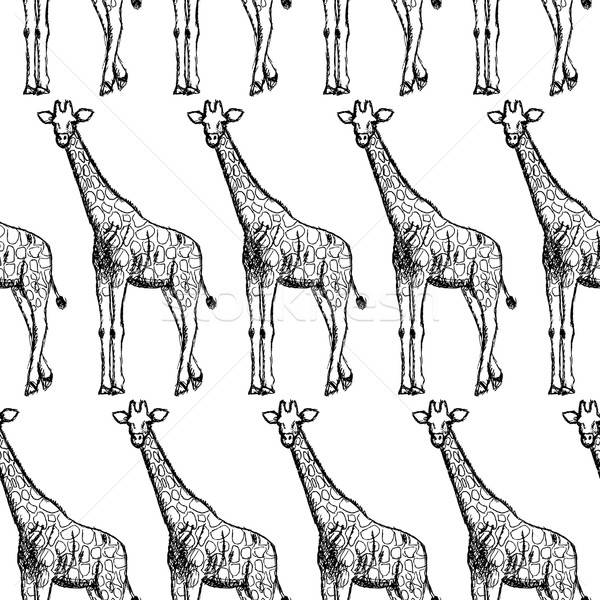 600x600 Sketch Giraffe, Vector Vintage Seamless Pattern Vector
