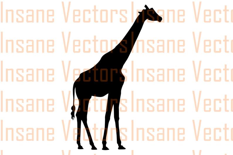 794x529 Giraffe Vector Silhouette Clip Art Image Giraffe Vector Etsy
