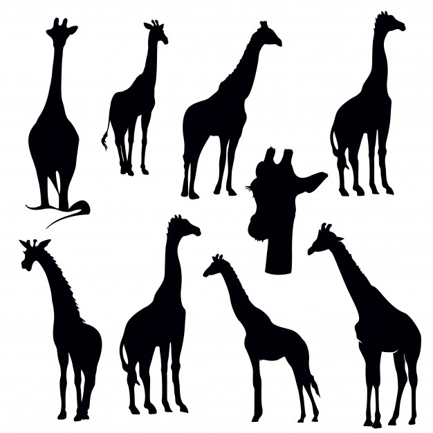 626x626 Giraffe Silhouette Set Vector Premium Download