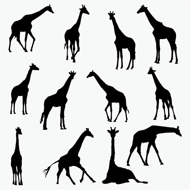 Giraffe Silhouette Vector at Vectorified.com | Collection of Giraffe ...