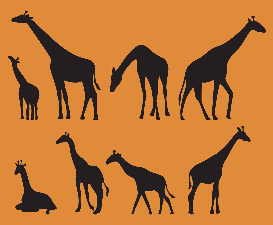 1136x936 Giraffes Silhouettes Vector Art Graphics