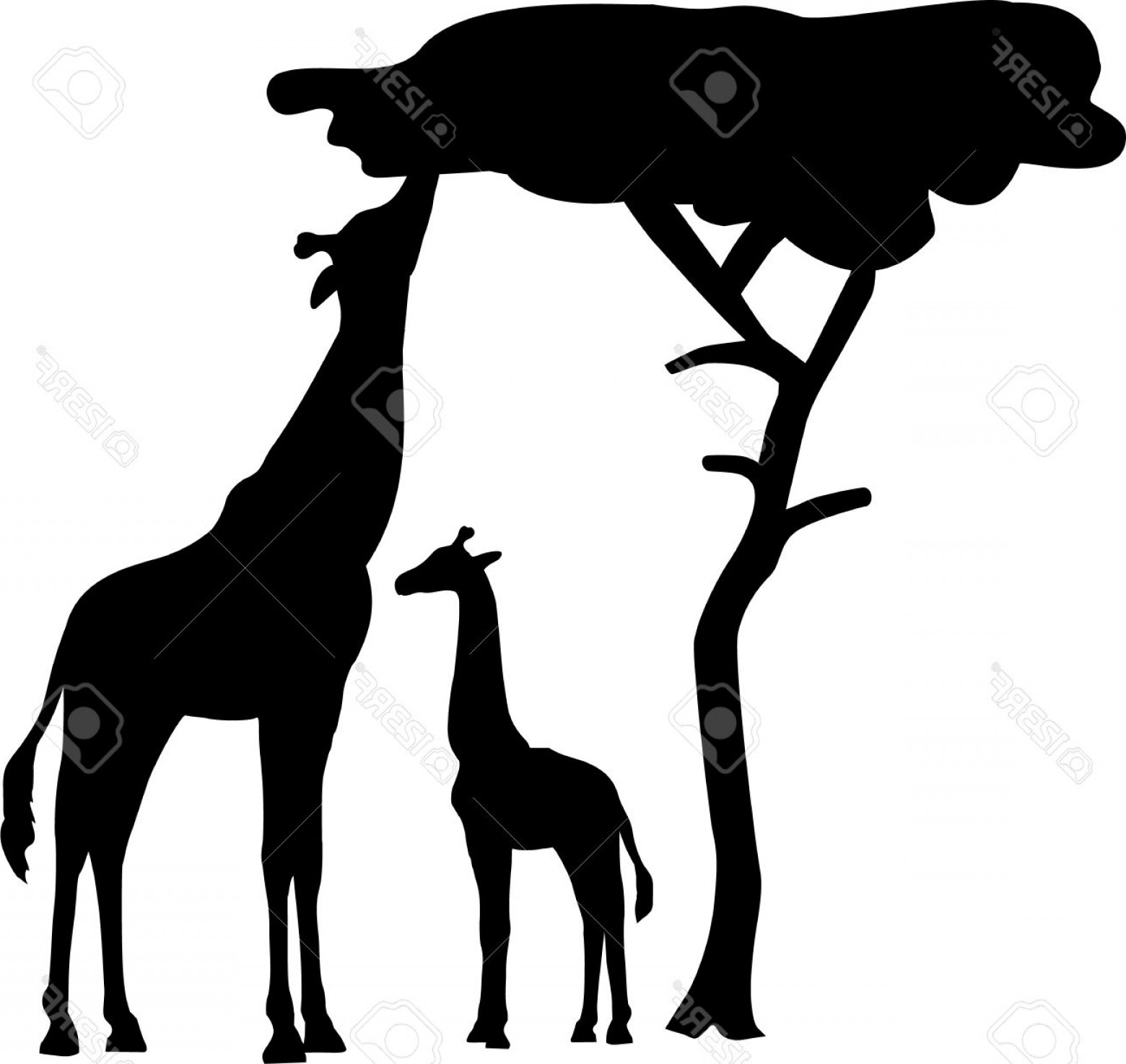 Силуэт жирафа и дерева