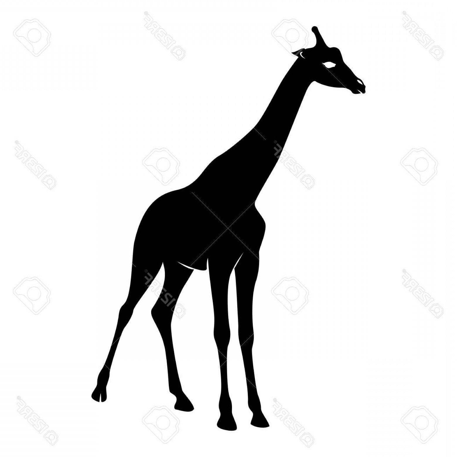 Download Giraffe Silhouette Vector at Vectorified.com | Collection ...