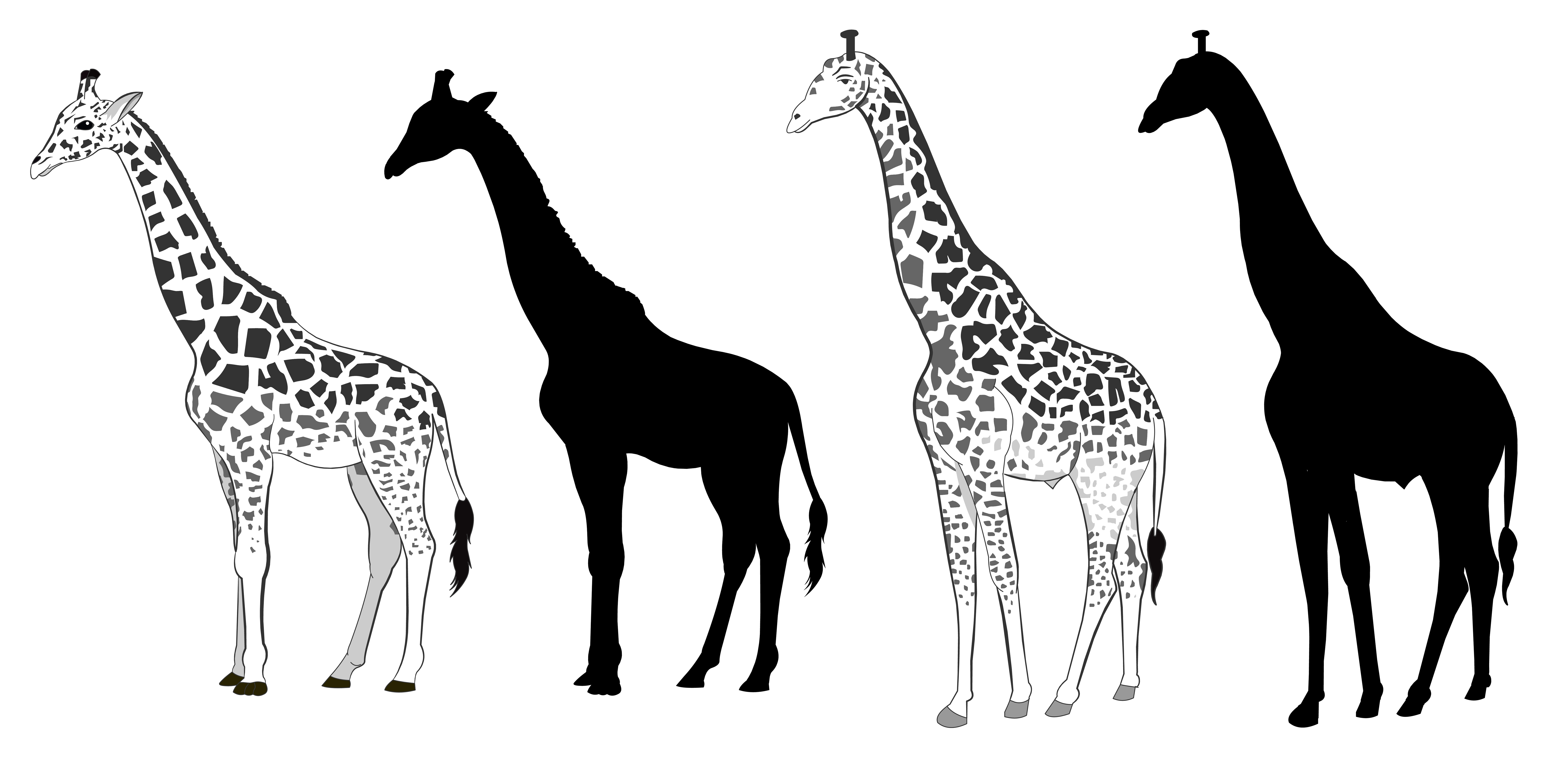 7000x3469 Silhouette Girafe Free Vector Art