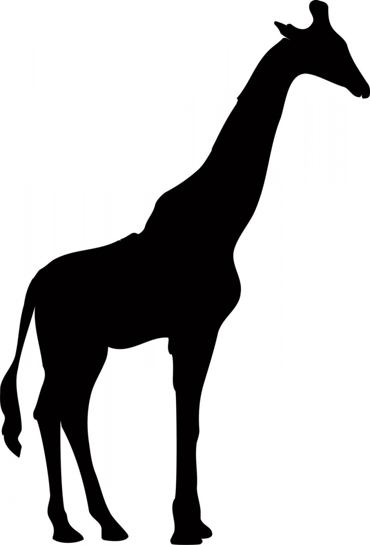 Download Giraffe Silhouette Vector at Vectorified.com | Collection ...