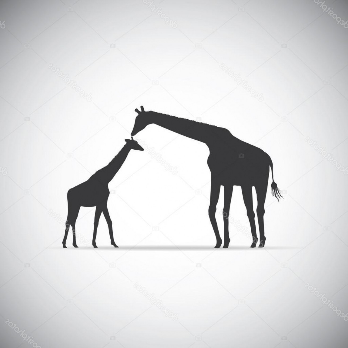 1473x1473 Top Stock Illustration Vector Silhouette Of Mother Giraffe Images