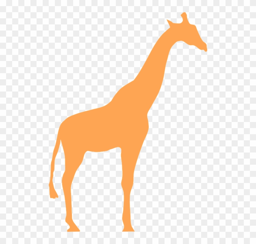 840x800 Free Vector Graphic Giraffe Animal Mammal Silhouette