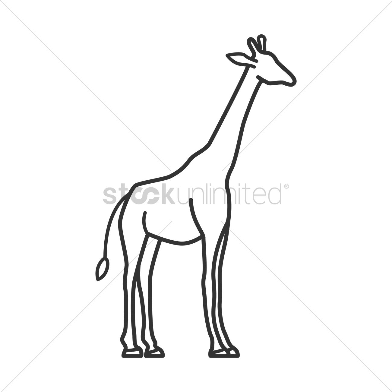 1300x1300 Giraffe Vector Image